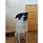 Brýle na pozorování Slunce